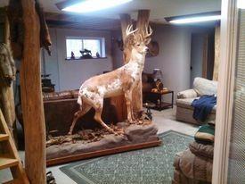 8972 College Ave, Jackson, MI 49201 photo 31