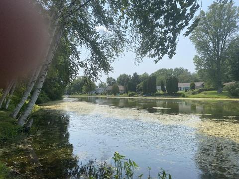 655 Point Dr, Clare, MI 48617 photo 2