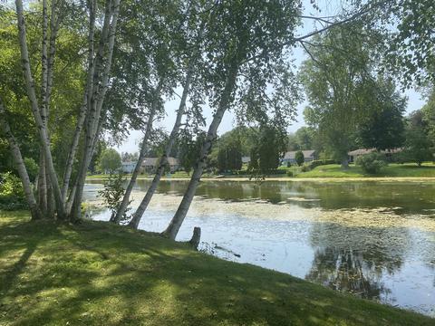 655 Point Dr, Clare, MI 48617 photo 3