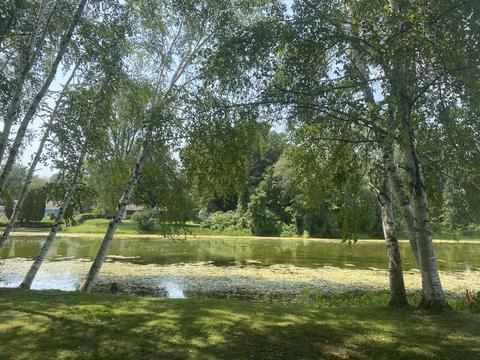 655 Point Dr, Clare, MI 48617 photo 4