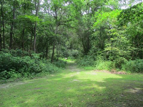 28094 Wing Rd, Mendon, MI 49072 photo 2