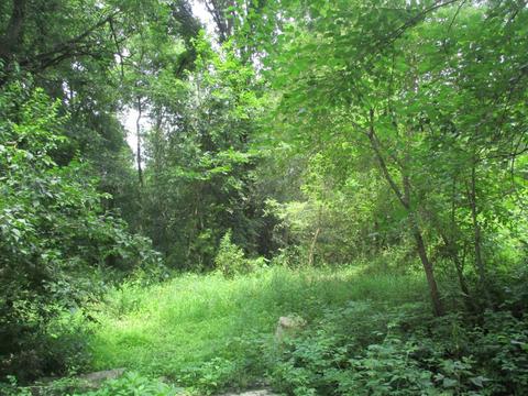 28094 Wing Rd, Mendon, MI 49072 photo 16