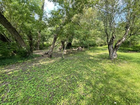 217 6th St, Marion, MI 49665 photo 17
