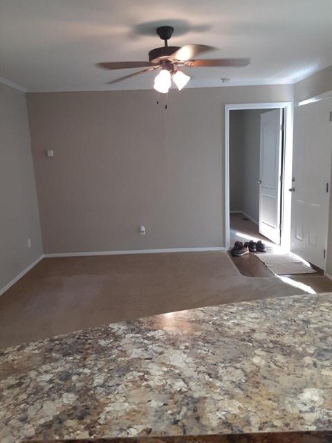 5793 E Riverside Dr, Lyons, MI 48851 photo 16