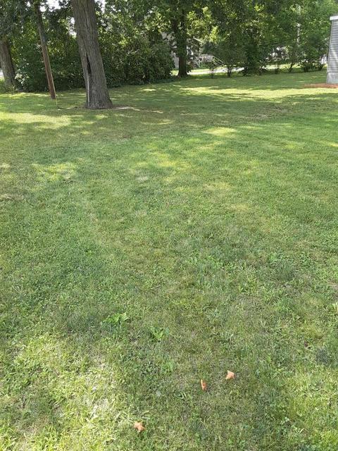 5793 E Riverside Dr, Lyons, MI 48851 photo 7