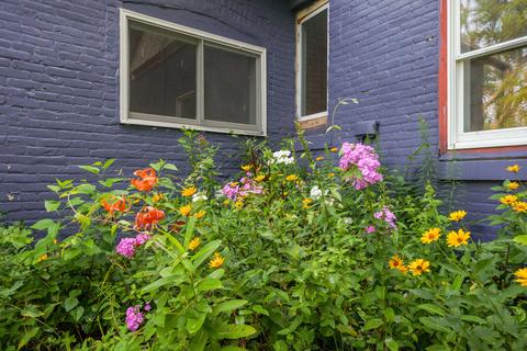 704 Williams St, Belding, MI 48809 photo 22