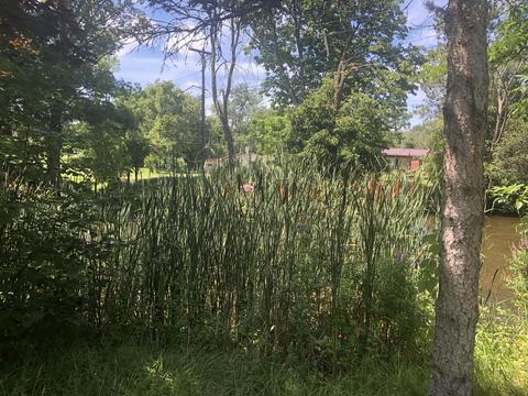 8826 Newfield Dr, Hesperia, MI 49421 photo 29