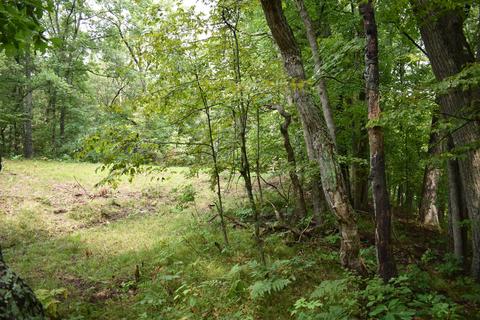 7010 S Pine Ave, Newaygo, MI 49337 photo 46