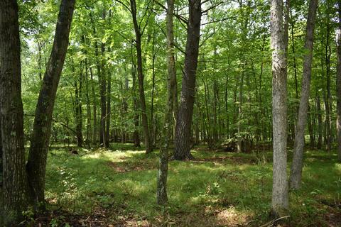 7010 S Pine Ave, Newaygo, MI 49337 photo 39