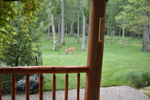 7010 S Pine Ave, Newaygo, MI 49337 photo 58