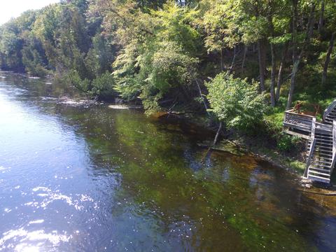7010 S Pine Ave, Newaygo, MI 49337 photo 54