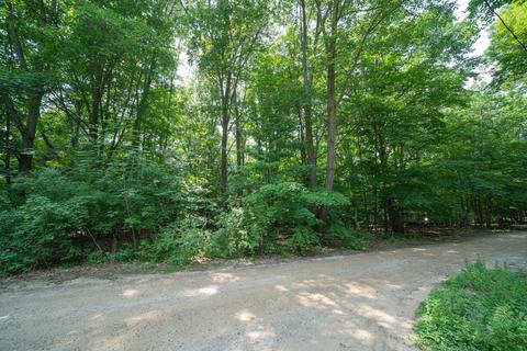 Vl Maple Avenue, South Haven, MI 49090