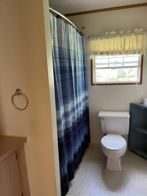 8932 River Rd, Evart, MI 49631 photo 9