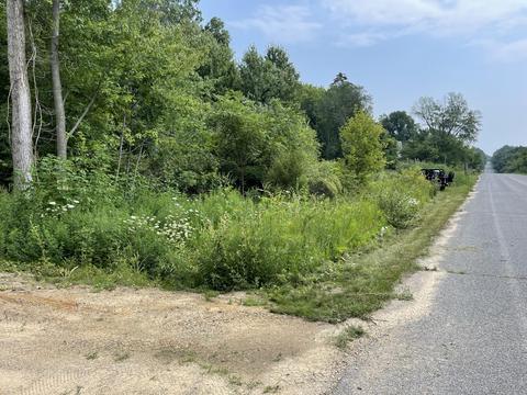 3677 Baseline Rd, Gobles, MI 49055 photo 5