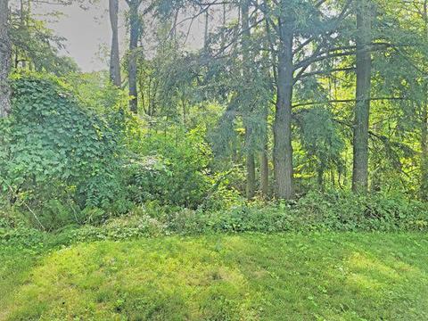 6876 S Maple St, Baldwin, MI 49304 photo 28