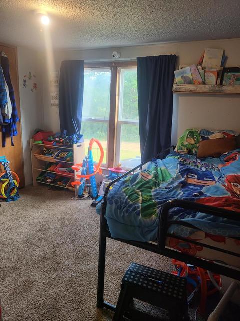 4675 E Pakes Rd, Stanton, MI 48888 photo 15