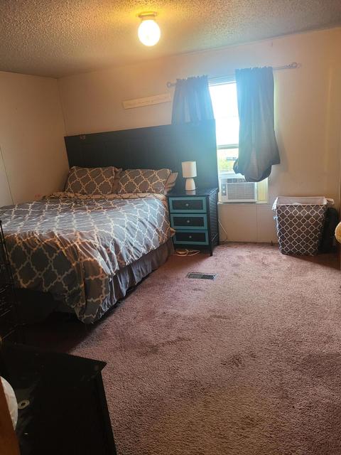 4675 E Pakes Rd, Stanton, MI 48888 photo 10