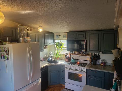 4675 E Pakes Rd, Stanton, MI 48888 photo 6