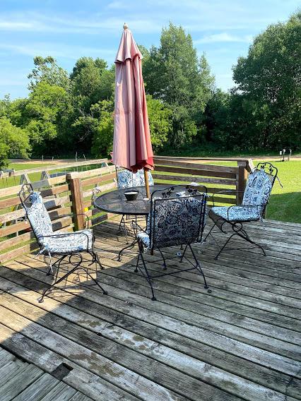4675 E Pakes Rd, Stanton, MI 48888 photo 19