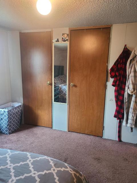 4675 E Pakes Rd, Stanton, MI 48888 photo 11