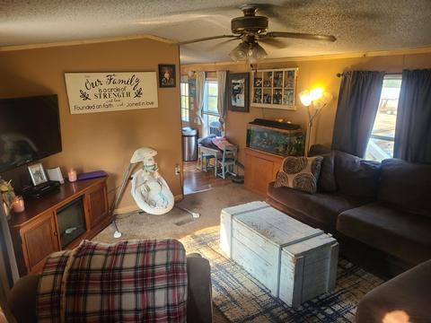 4675 E Pakes Rd, Stanton, MI 48888 photo 2