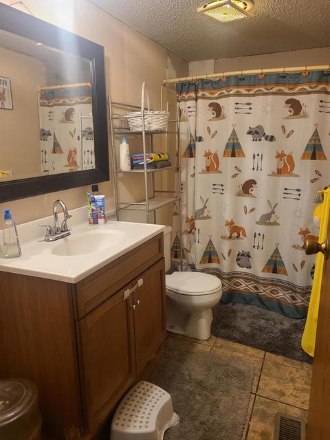 4675 E Pakes Rd, Stanton, MI 48888 photo 14