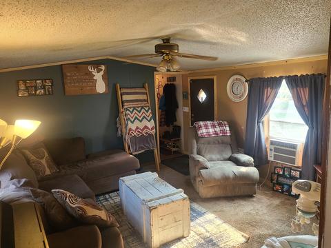4675 E Pakes Rd, Stanton, MI 48888 photo 3