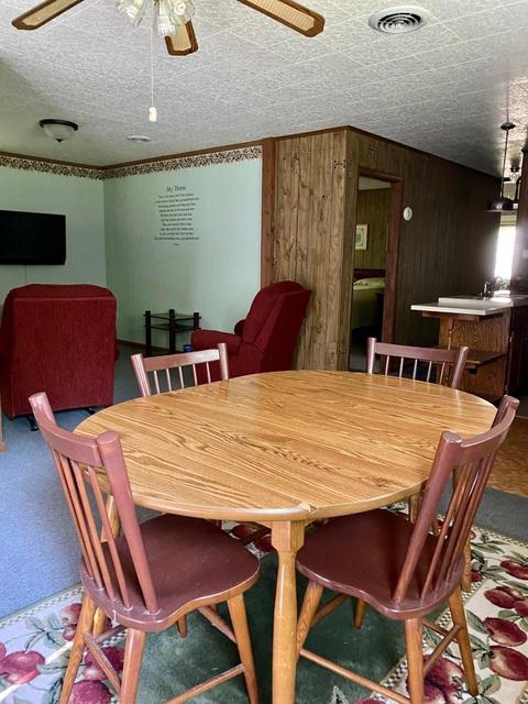 3825 W Pine Blvd, Bitely, MI 49309 photo 9