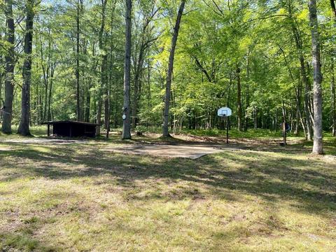3825 W Pine Blvd, Bitely, MI 49309 photo 19