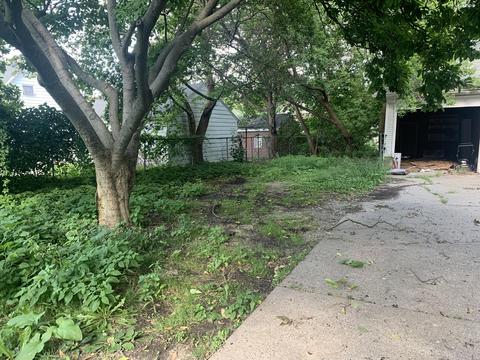 524 N Pine St, Lansing, MI 48933 photo 2