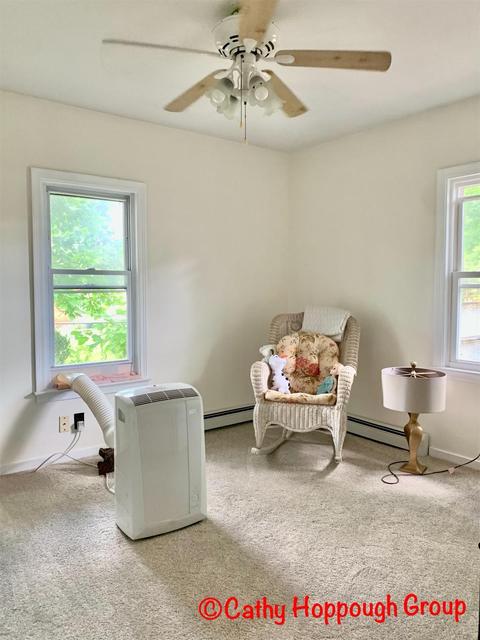 222 High St, Ionia, MI 48846 photo 22