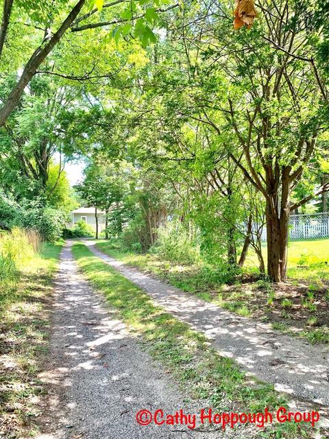 222 High St, Ionia, MI 48846 photo 33