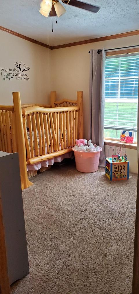 79041 Stapleton Rd, Decatur, MI 49045 photo 15