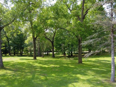 1266 Mccabe Ave NE, Ada, MI 49301 photo 4