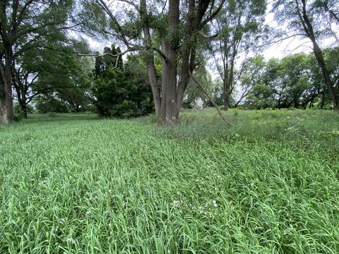 1246 N Jerome Rd, Ithaca, MI 48847 photo 6