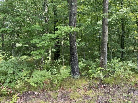 1246 N Jerome Rd, Ithaca, MI 48847 photo 2