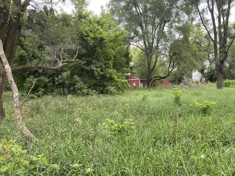 1246 N Jerome Rd, Ithaca, MI 48847 photo 8