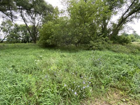 1246 N Jerome Rd, Ithaca, MI 48847 photo 5