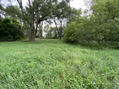 1246 N Jerome Rd, Ithaca, MI 48847 photo 4