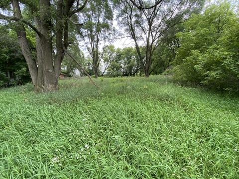 1246 N Jerome Rd, Ithaca, MI 48847 photo 7