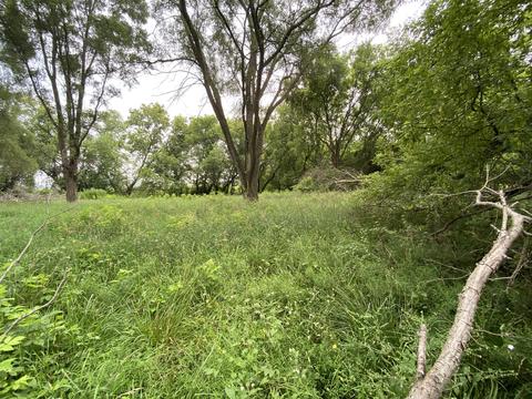 1246 N Jerome Rd, Ithaca, MI 48847 photo 12