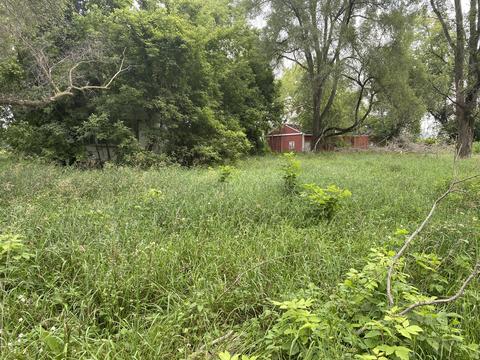 1246 N Jerome Rd, Ithaca, MI 48847 photo 1