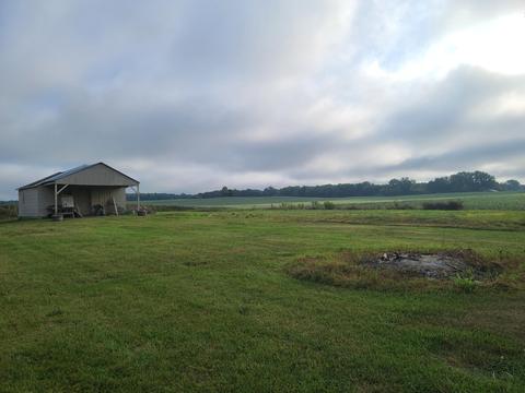 9901 W Buchanan Rd, Sumner, MI 48889 photo 7