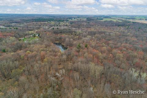 3903 E Stanton Rd, Stanton, MI 48888 photo 9