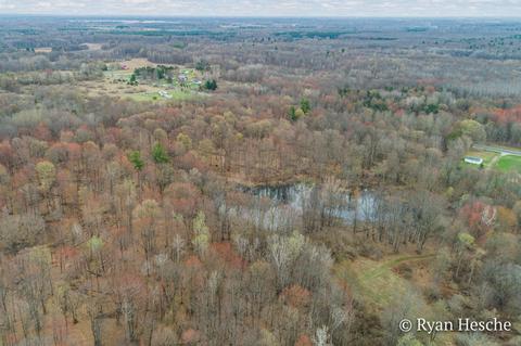 3903 E Stanton Rd, Stanton, MI 48888 photo 5
