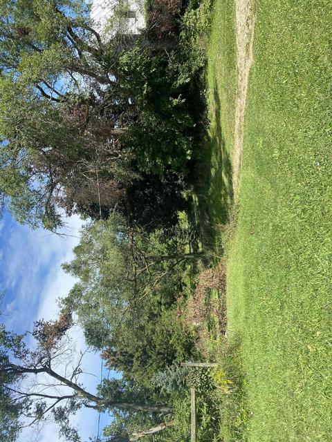 6091 E Reading Rd, Osseo, MI 49266 photo 9