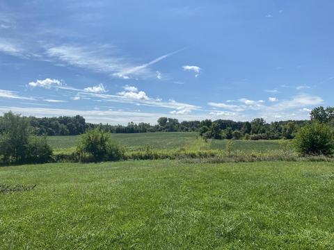6091 E Reading Rd, Osseo, MI 49266 photo 11