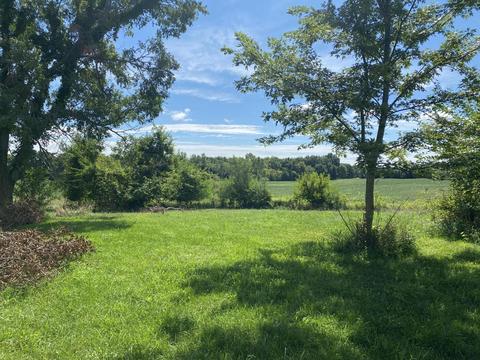 6091 E Reading Rd, Osseo, MI 49266 photo 8