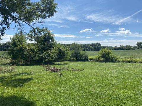 6091 E Reading Rd, Osseo, MI 49266 photo 10
