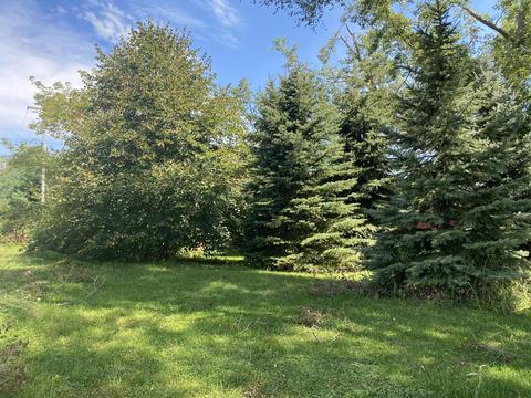 6091 E Reading Rd, Osseo, MI 49266 photo 12